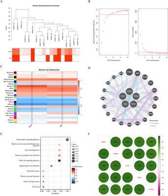 Identification and mechanistic analysis of neurovascular coupling related biomarkers for diabetic macular edema